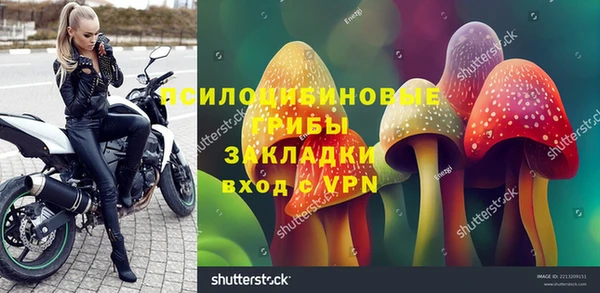 дмт Богородск