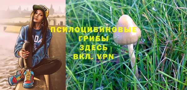 дмт Богородск