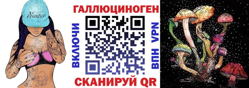 купить наркотики сайты  Йошкар-Ола  Псилоцибиновые грибы мицелий 