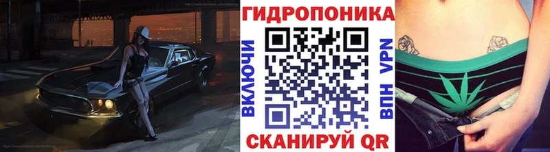 Конопля OG Kush Йошкар-Ола